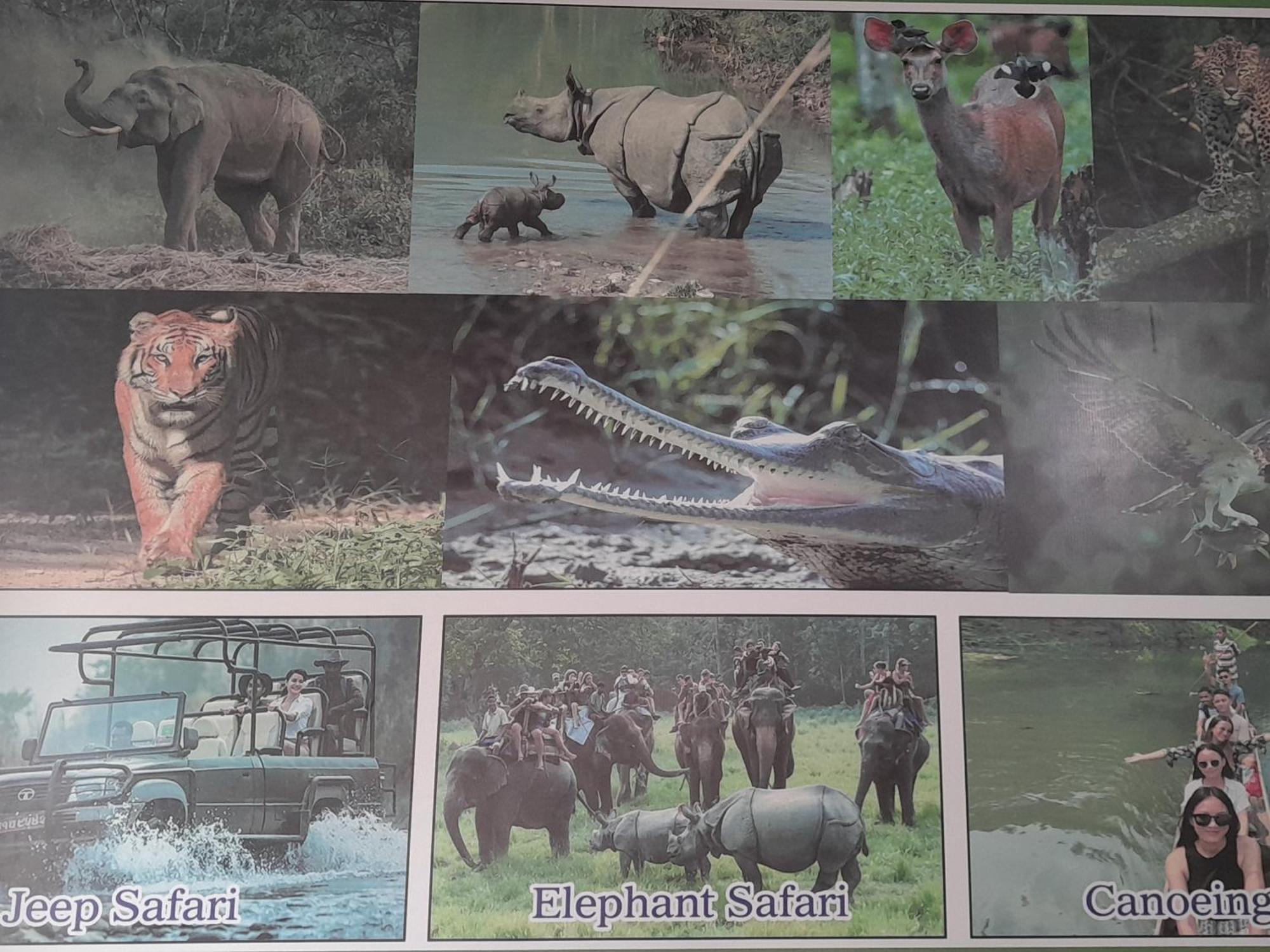Crocodile Safari Camp Hotell Chitwan Eksteriør bilde