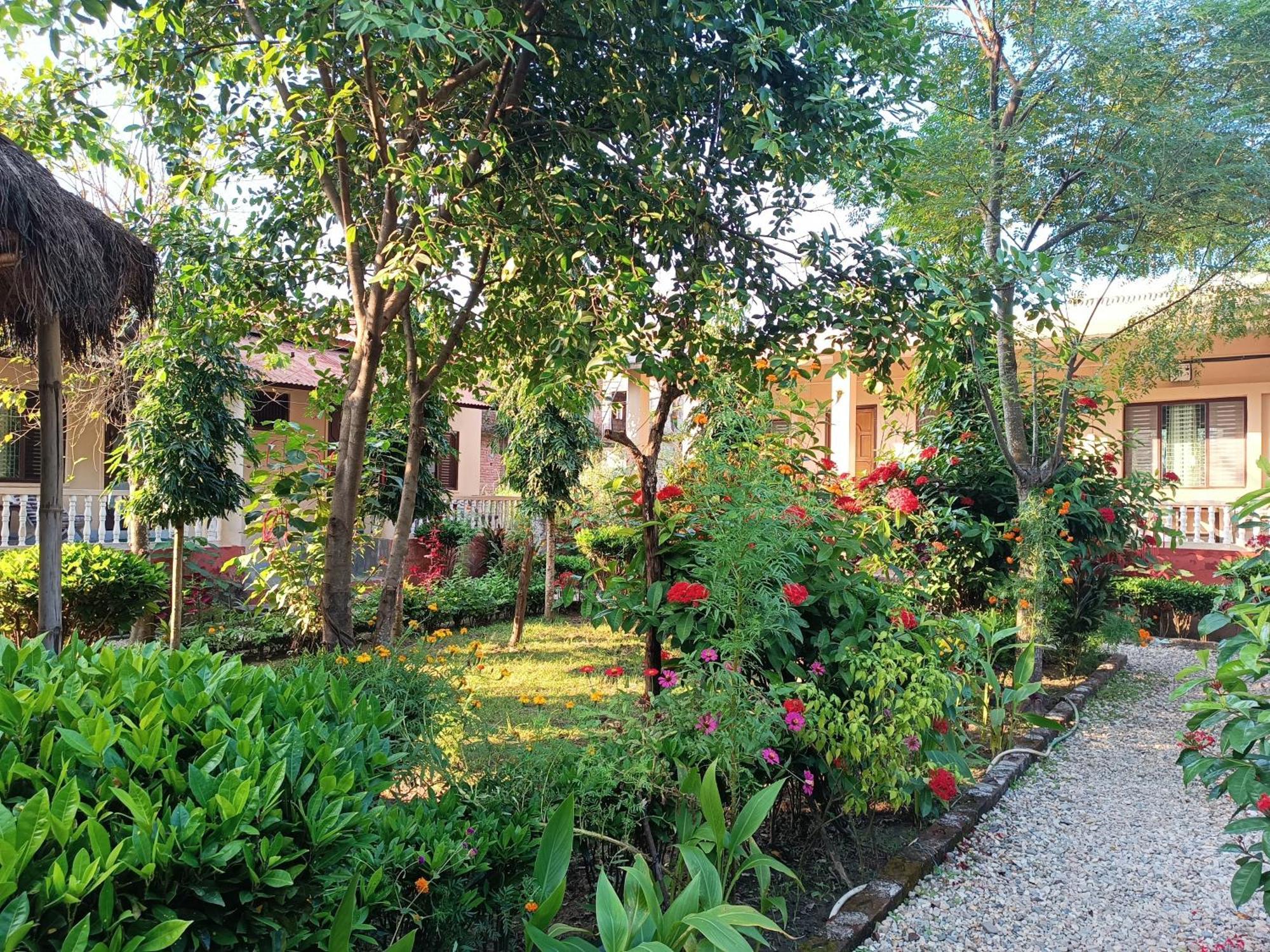 Crocodile Safari Camp Hotell Chitwan Rom bilde