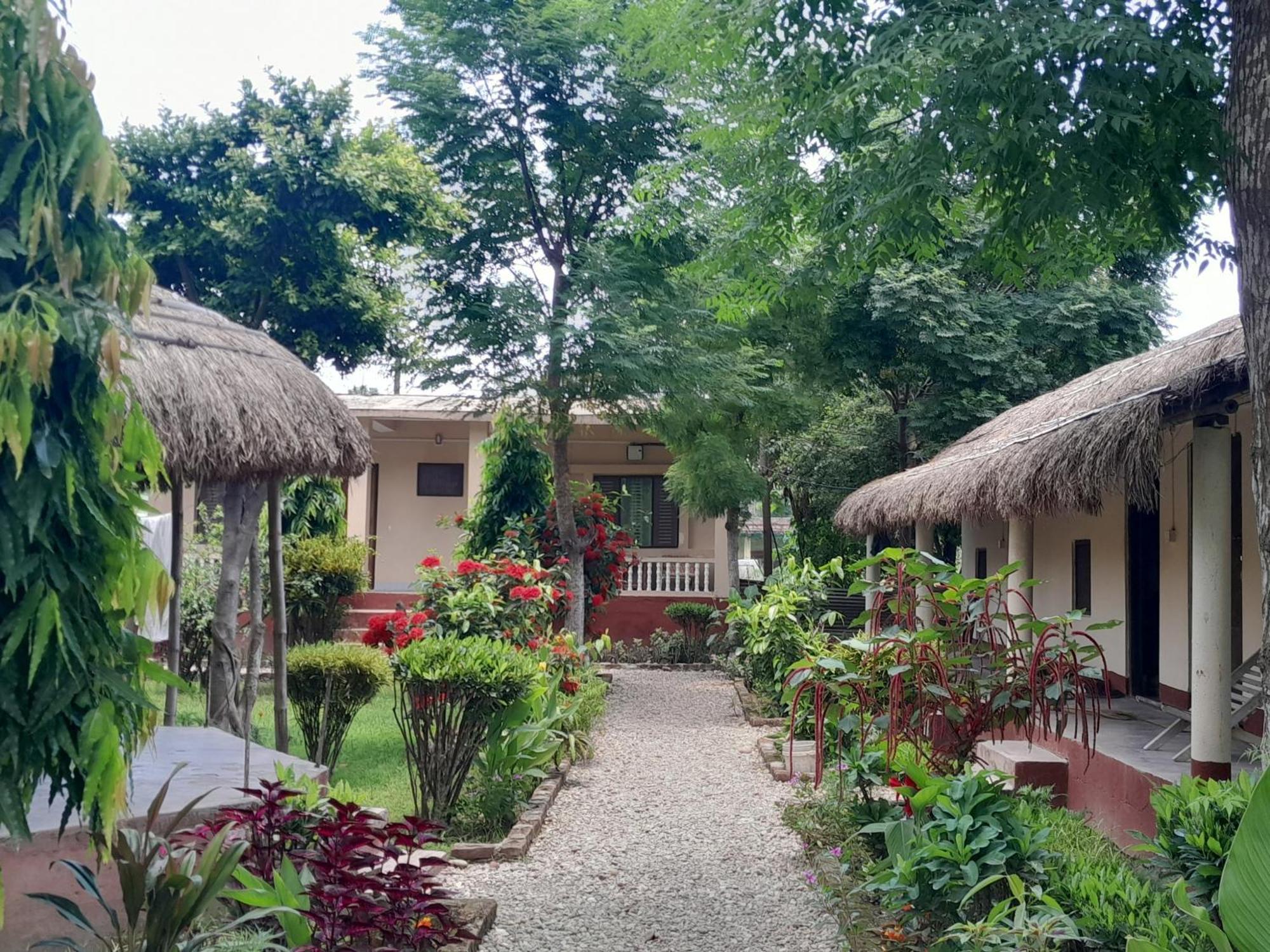 Crocodile Safari Camp Hotell Chitwan Eksteriør bilde
