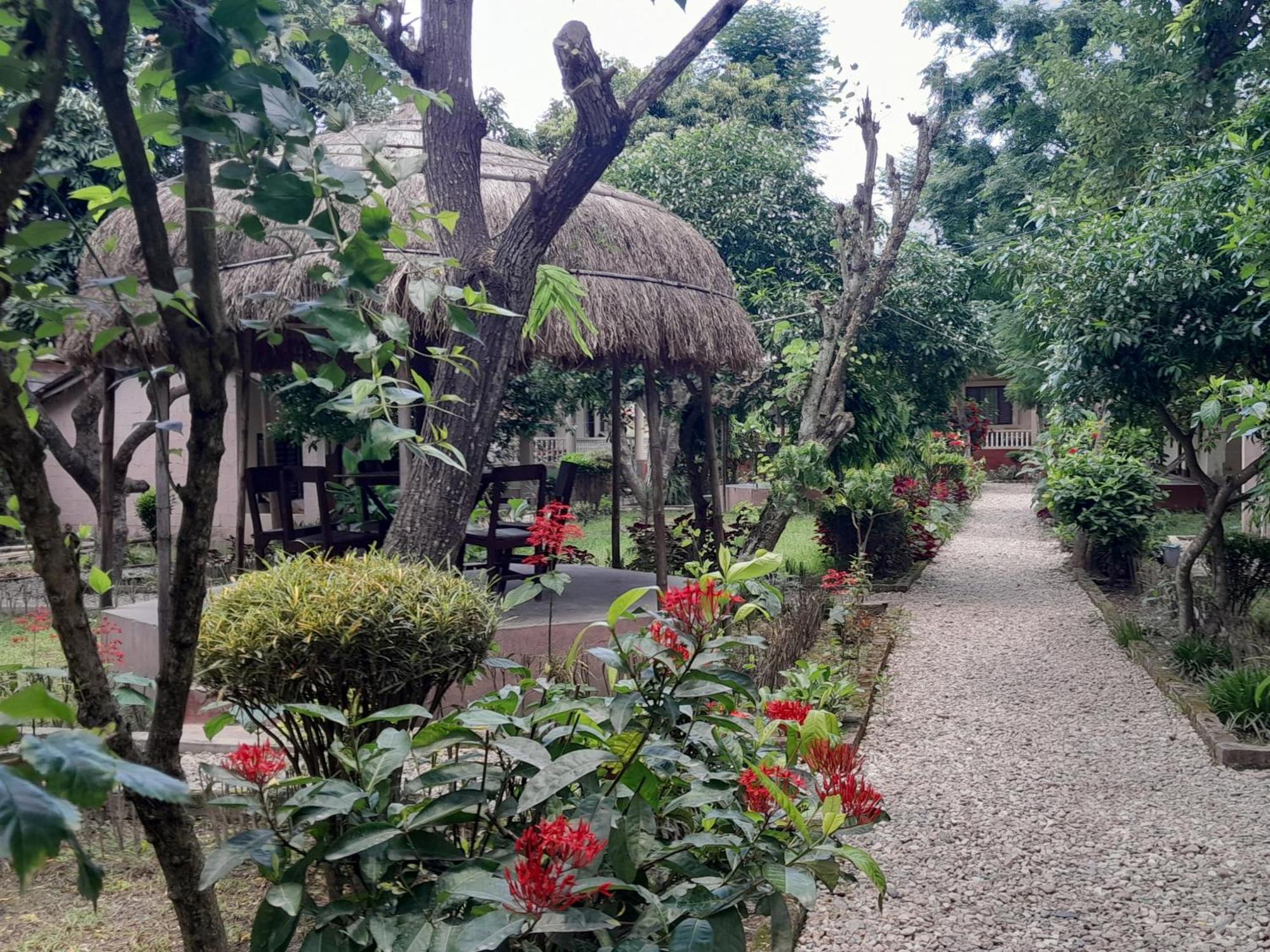 Crocodile Safari Camp Hotell Chitwan Eksteriør bilde