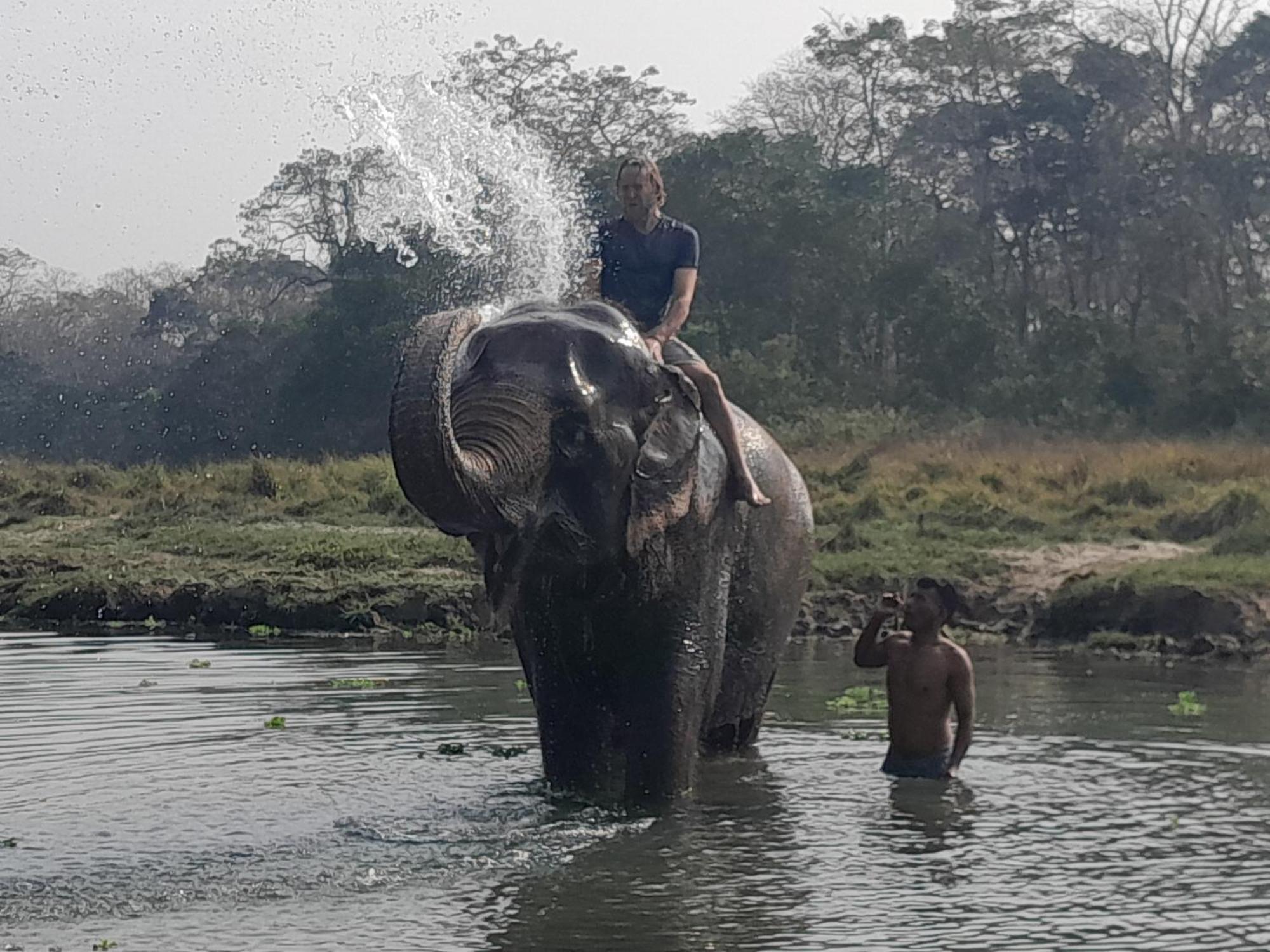 Crocodile Safari Camp Hotell Chitwan Eksteriør bilde